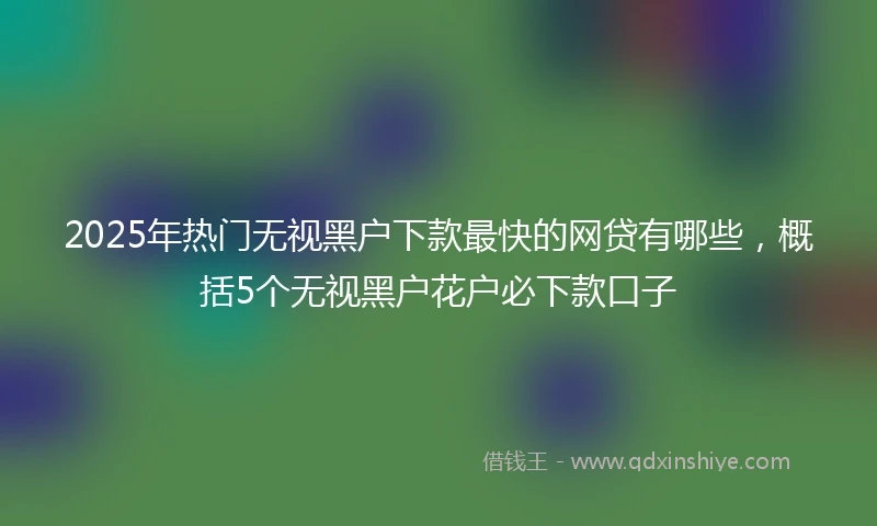 2025年热门无视黑户下款最快的网贷有哪些，概括5个无视黑户花户必下款口子