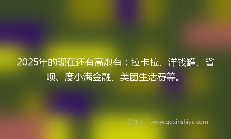 2025年的现在还有高炮有：拉卡拉、洋钱罐、省呗、度小满金融、美团生活费等。