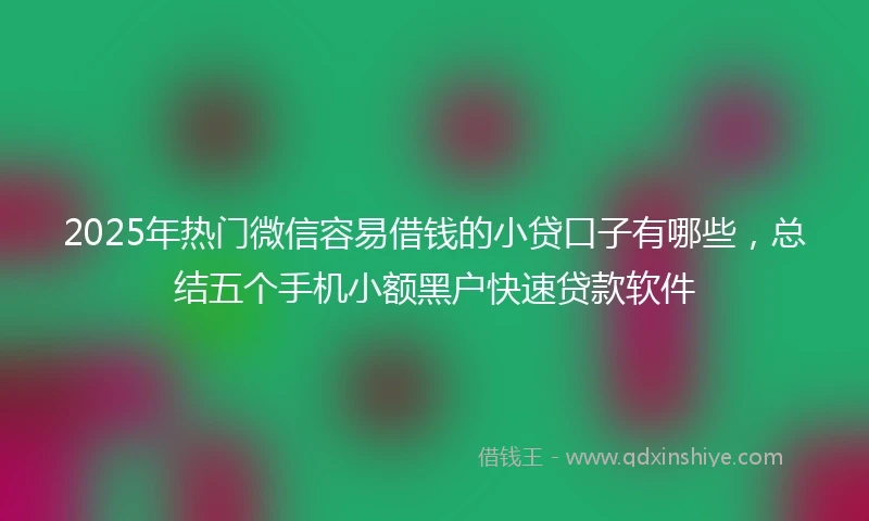 2025年热门微信容易借钱的小贷口子有哪些，总结五个手机小额黑户快速贷款软件