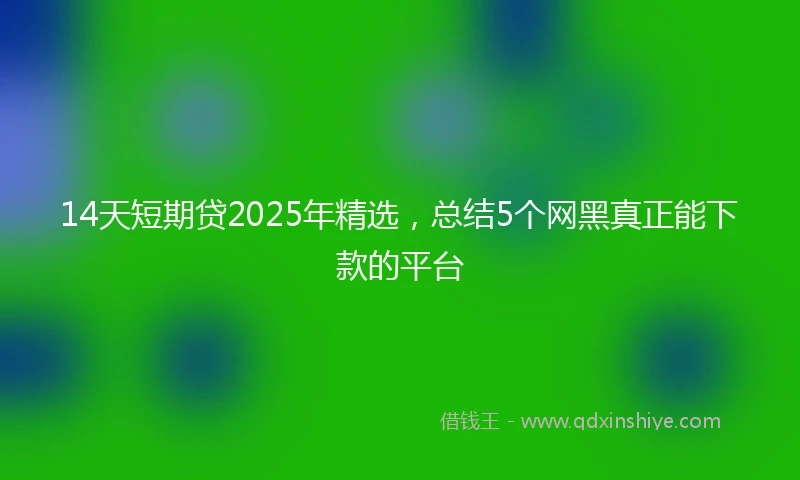 14天短期贷2025年精选，总结5个网黑真正能下款的平台