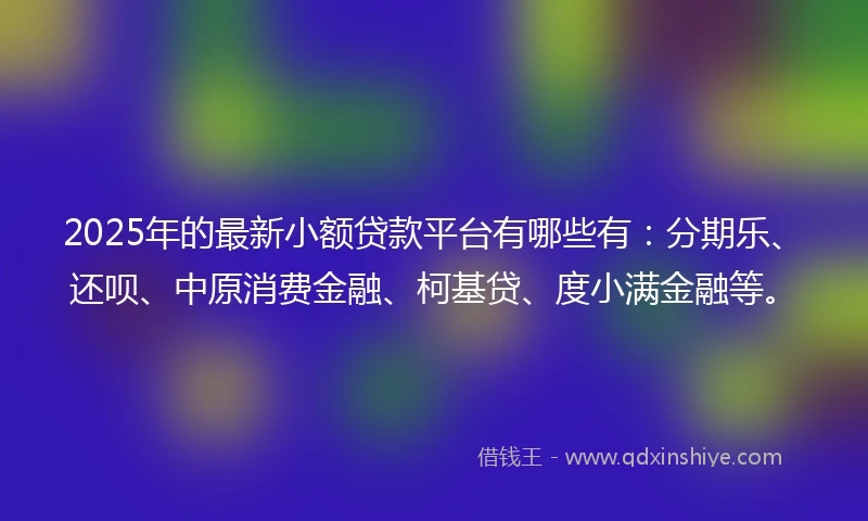 2025年的最新小额贷款平台有哪些有：分期乐、还呗、中原消费金融、柯基贷、度小满金融等。