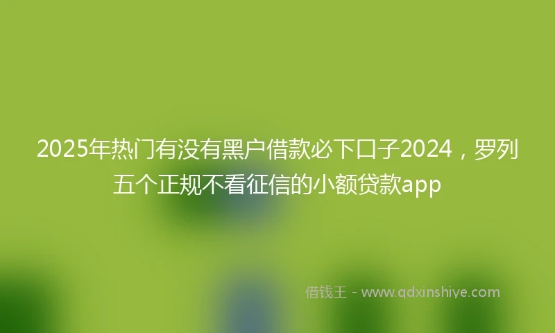 2025年热门有没有黑户借款必下口子2024，罗列五个正规不看征信的小额贷款app