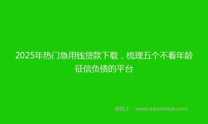 2025年热门急用钱贷款下载，梳理五个不看年龄征信负债的平台