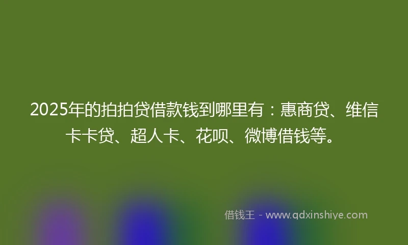 2025年的拍拍贷借款钱到哪里有：惠商贷、维信卡卡贷、超人卡、花呗、微博借钱等。