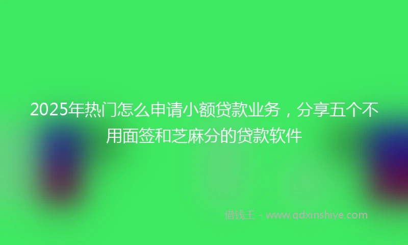 2025年热门怎么申请小额贷款业务，分享五个不用面签和芝麻分的贷款软件