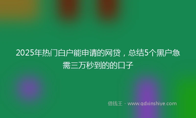 2025年热门白户能申请的网贷，总结5个黑户急需三万秒到的的口子