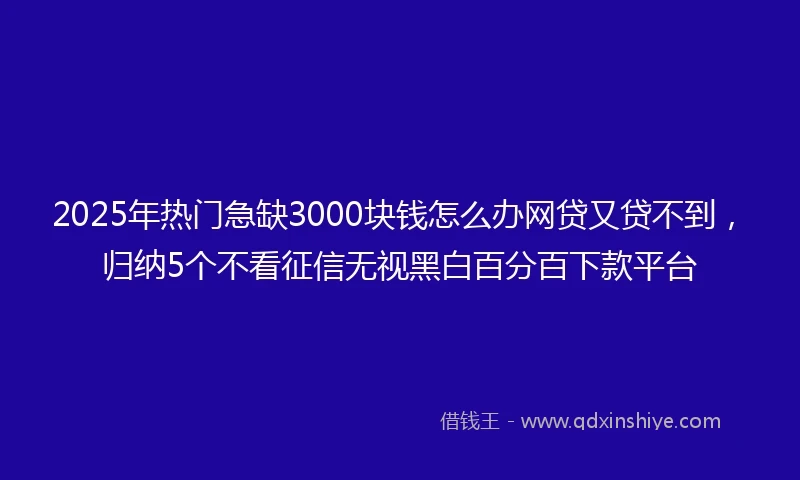 2025年热门急缺3000块钱怎么办网贷又贷不到，归纳5个不看征信无视黑白百分百下款平台