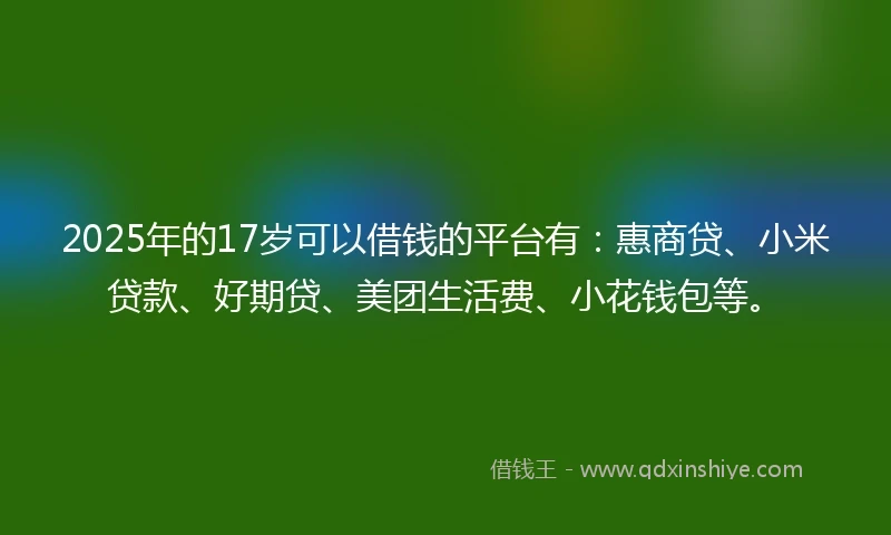 2025年的17岁可以借钱的平台有：惠商贷、小米贷款、好期贷、美团生活费、小花钱包等。