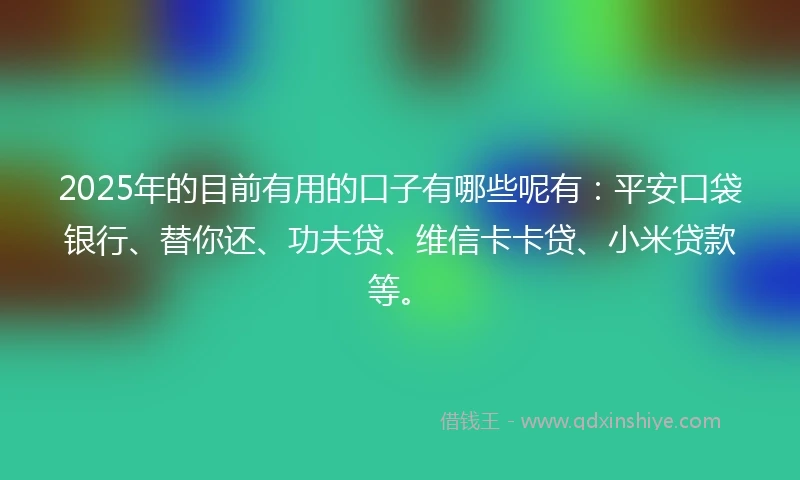 2025年的目前有用的口子有哪些呢有：平安口袋银行、替你还、功夫贷、维信卡卡贷、小米贷款等。