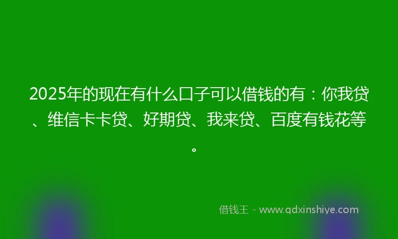 2025年的现在有什么口子可以借钱的有：你我贷、维信卡卡贷、好期贷、我来贷、百度有钱花等。