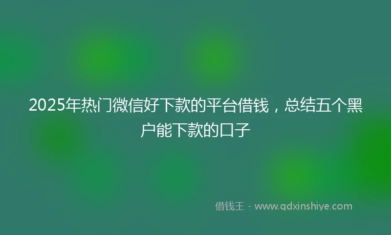 2025年热门微信好下款的平台借钱，总结五个黑户能下款的口子