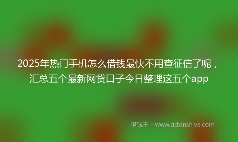 2025年热门手机怎么借钱最快不用查征信了呢，汇总五个最新网贷口子今日整理这五个app