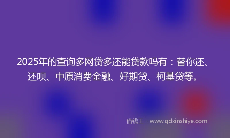 2025年的查询多网贷多还能贷款吗有：替你还、还呗、中原消费金融、好期贷、柯基贷等。
