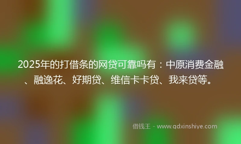 2025年的打借条的网贷可靠吗有：中原消费金融、融逸花、好期贷、维信卡卡贷、我来贷等。