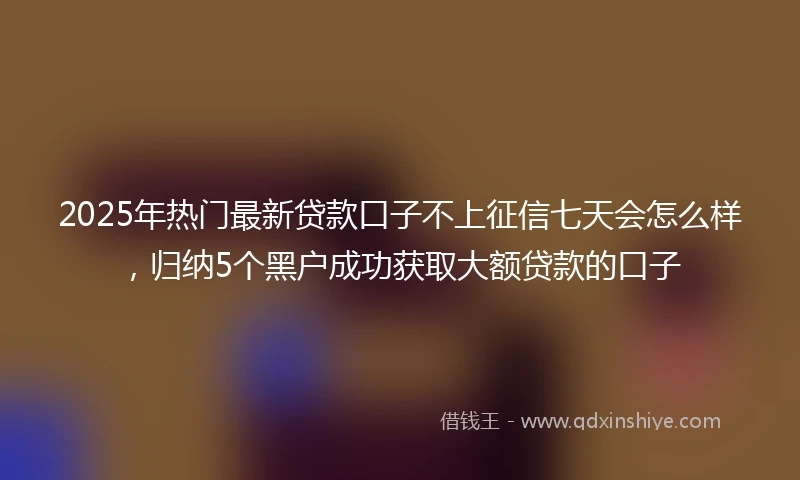 2025年热门最新贷款口子不上征信七天会怎么样，归纳5个黑户成功获取大额贷款的口子