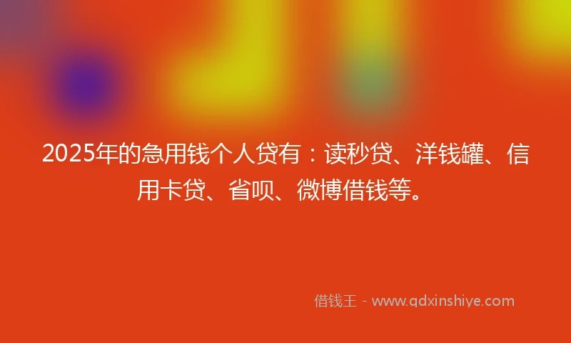 2025年的急用钱个人贷有：读秒贷、洋钱罐、信用卡贷、省呗、微博借钱等。