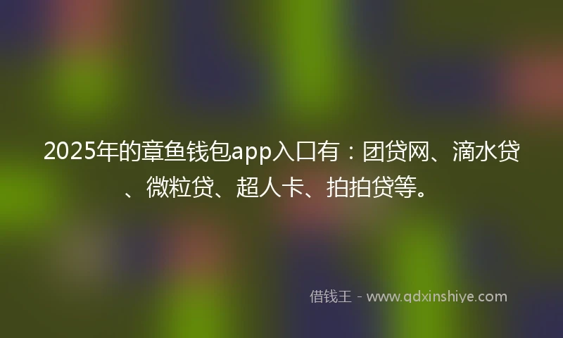 2025年的章鱼钱包app入口有：团贷网、滴水贷、微粒贷、超人卡、拍拍贷等。
