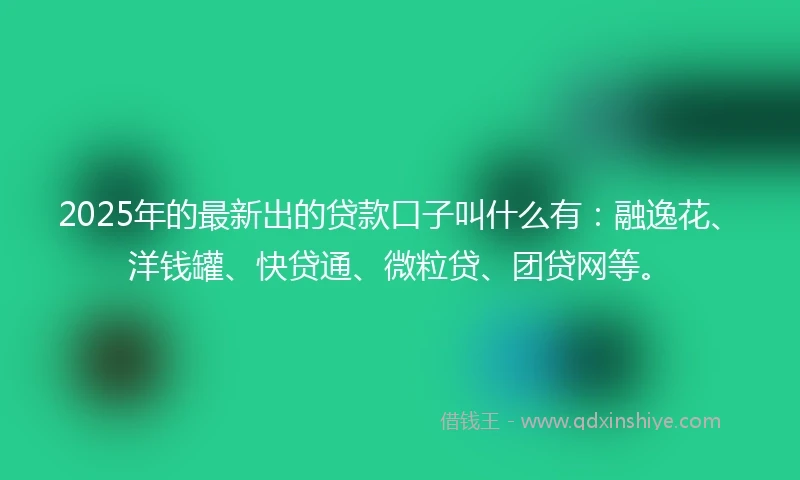 2025年的最新出的贷款口子叫什么有：融逸花、洋钱罐、快贷通、微粒贷、团贷网等。