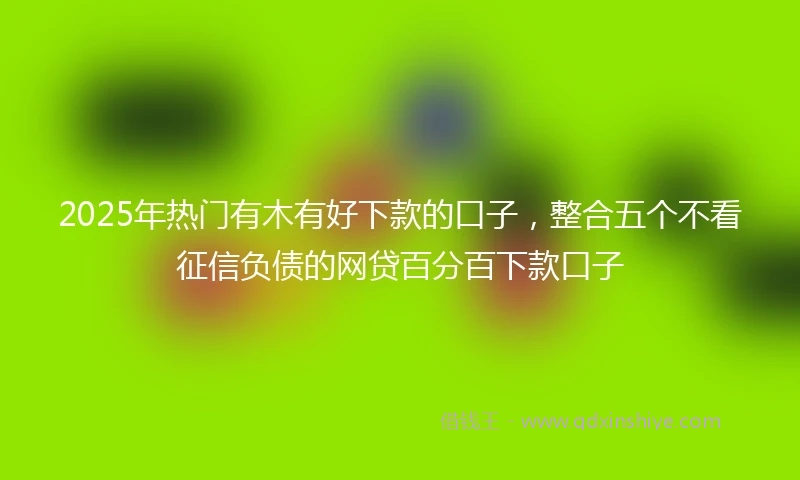2025年热门有木有好下款的口子，整合五个不看征信负债的网贷百分百下款口子