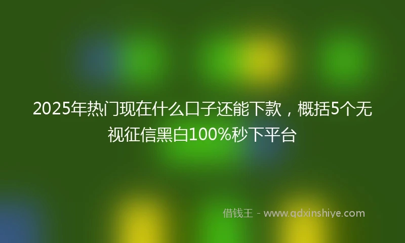 2025年热门现在什么口子还能下款，概括5个无视征信黑白100%秒下平台