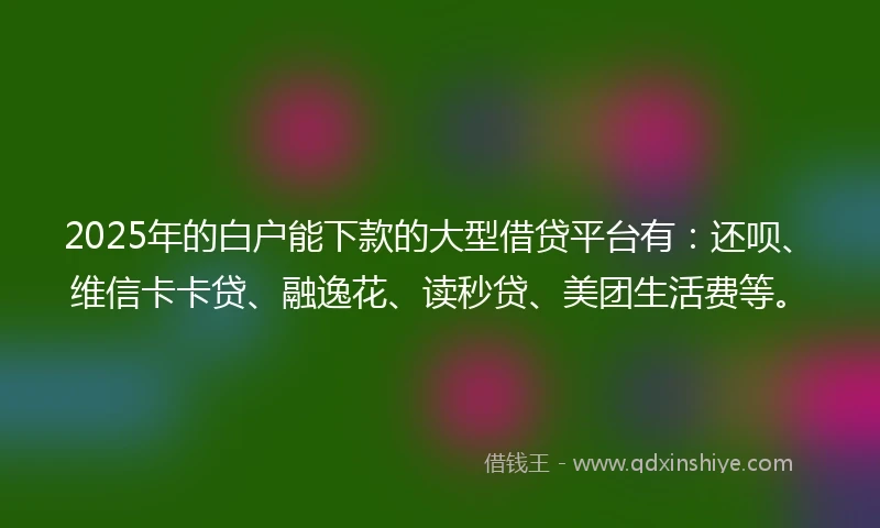 2025年的白户能下款的大型借贷平台有：还呗、维信卡卡贷、融逸花、读秒贷、美团生活费等。