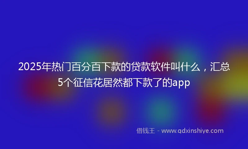 2025年热门百分百下款的贷款软件叫什么,汇总5个征信花居然都下款了的app