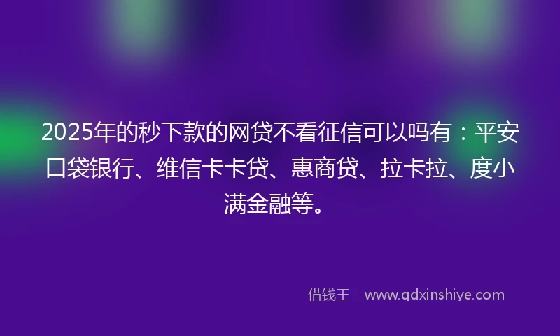 2025年的秒下款的网贷不看征信可以吗有：平安口袋银行、维信卡卡贷、惠商贷、拉卡拉、度小满金融等。