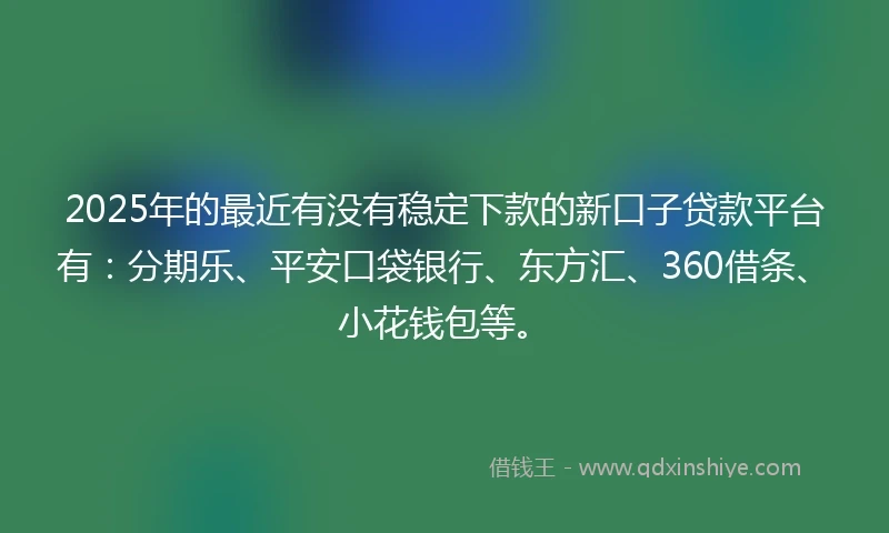 2025年的最近有没有稳定下款的新口子贷款平台有：分期乐、平安口袋银行、东方汇、360借条、小花钱包等。