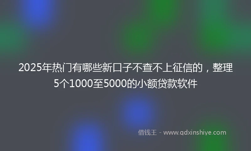 2025年热门有哪些新口子不查不上征信的，整理5个1000至5000的小额贷款软件