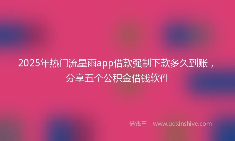 2025年热门流星雨app借款强制下款多久到账,分享五个公积金借钱软件