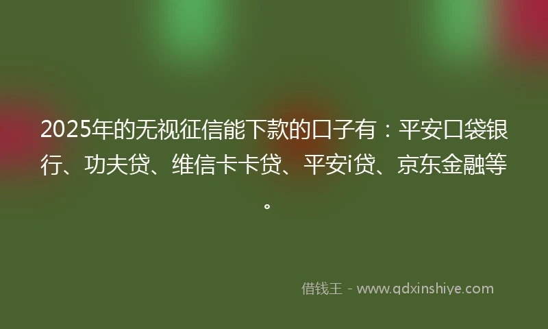 2025年的无视征信能下款的口子有：平安口袋银行、功夫贷、维信卡卡贷、平安i贷、京东金融等。