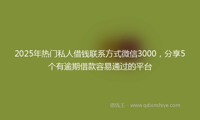 2025年热门私人借钱联系方式微信3000，分享5个有逾期借款容易通过的平台