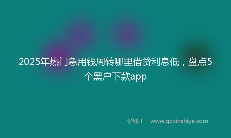 2025年热门急用钱周转哪里借贷利息低，盘点5个黑户下款app