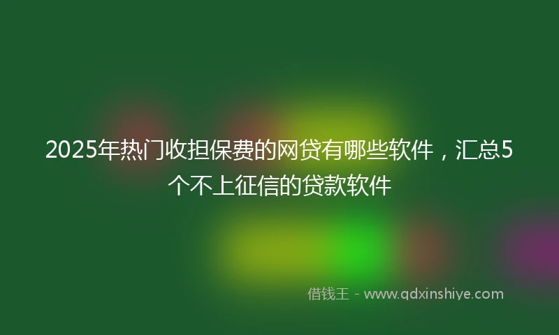 2025年热门收担保费的网贷有哪些软件，汇总5个不上征信的贷款软件