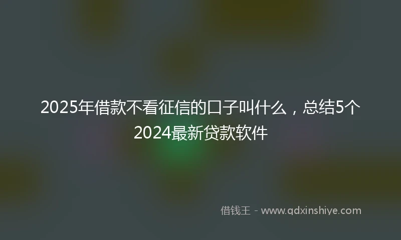 2025年借款不看征信的口子叫什么，总结5个2024最新贷款软件