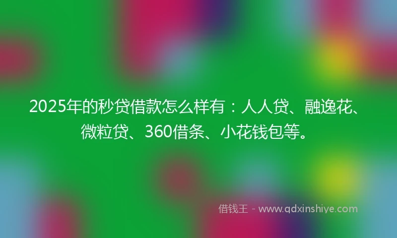2025年的秒贷借款怎么样有：人人贷、融逸花、微粒贷、360借条、小花钱包等。