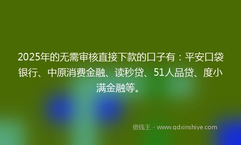 2025年的无需审核直接下款的口子有：平安口袋银行、中原消费金融、读秒贷、51人品贷、度小满金融等。