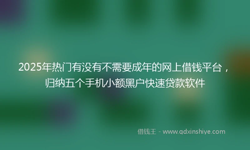 2025年热门有没有不需要成年的网上借钱平台，归纳五个手机小额黑户快速贷款软件