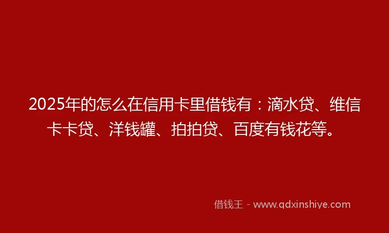 2025年的怎么在信用卡里借钱有：滴水贷、维信卡卡贷、洋钱罐、拍拍贷、百度有钱花等。