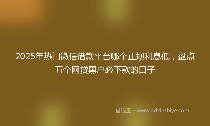 2025年热门微信借款平台哪个正规利息低，盘点五个网贷黑户必下款的口子