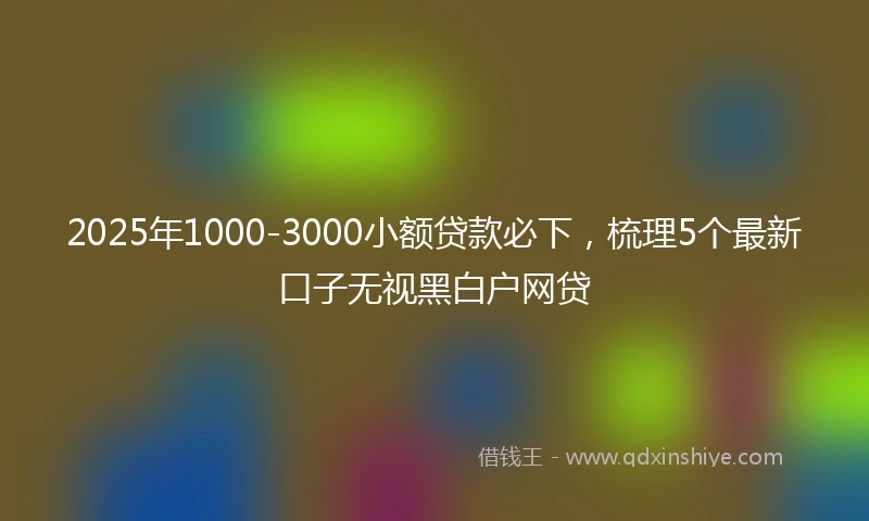 2025年1000-3000小额贷款必下，梳理5个最新口子无视黑白户网贷