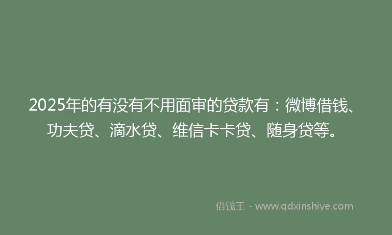 2025年的有没有不用面审的贷款有：微博借钱、功夫贷、滴水贷、维信卡卡贷、随身贷等。