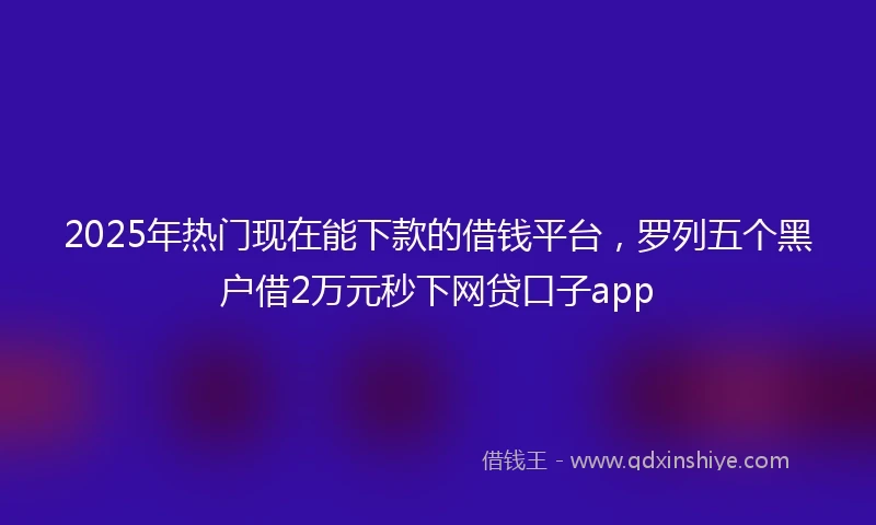 2025年热门现在能下款的借钱平台，罗列五个黑户借2万元秒下网贷口子app