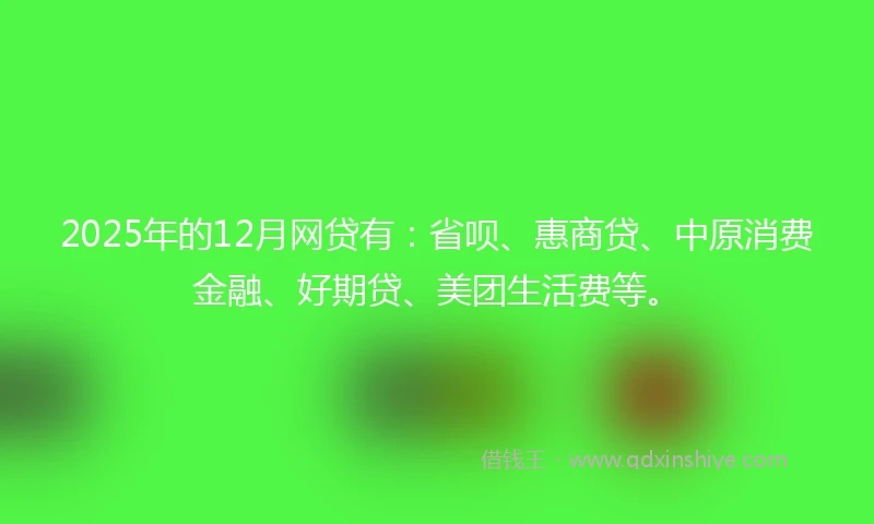 2025年的12月网贷有：省呗、惠商贷、中原消费金融、好期贷、美团生活费等。