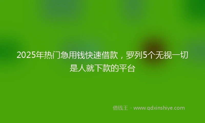 2025年热门急用钱快速借款，罗列5个无视一切是人就下款的平台