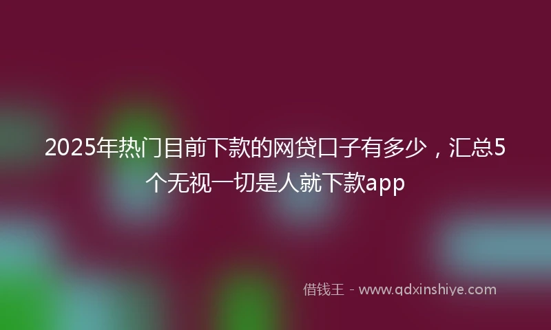 2025年热门目前下款的网贷口子有多少，汇总5个无视一切是人就下款app