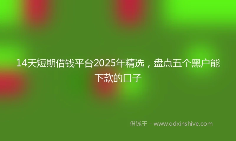 14天短期借钱平台2025年精选，盘点五个黑户能下款的口子
