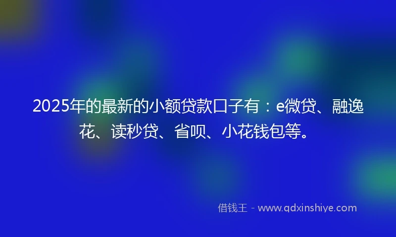 2025年的最新的小额贷款口子有：e微贷、融逸花、读秒贷、省呗、小花钱包等。