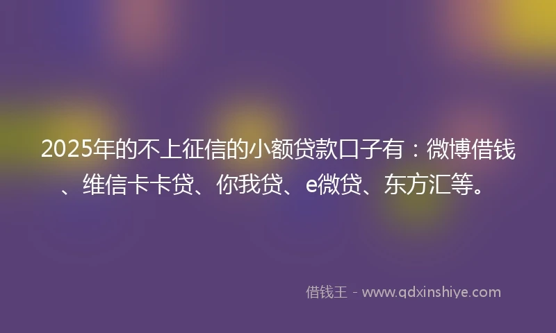 2025年的不上征信的小额贷款口子有：微博借钱、维信卡卡贷、你我贷、e微贷、东方汇等。