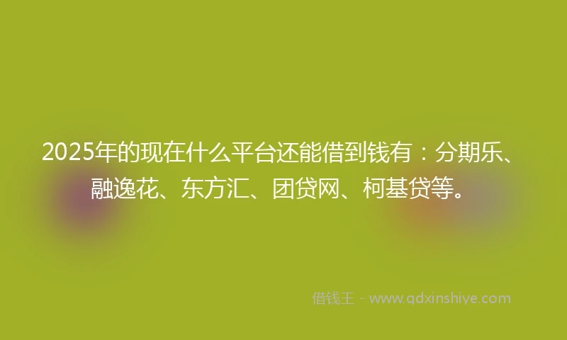 2025年的现在什么平台还能借到钱有：分期乐、融逸花、东方汇、团贷网、柯基贷等。